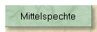 Mittelspechte